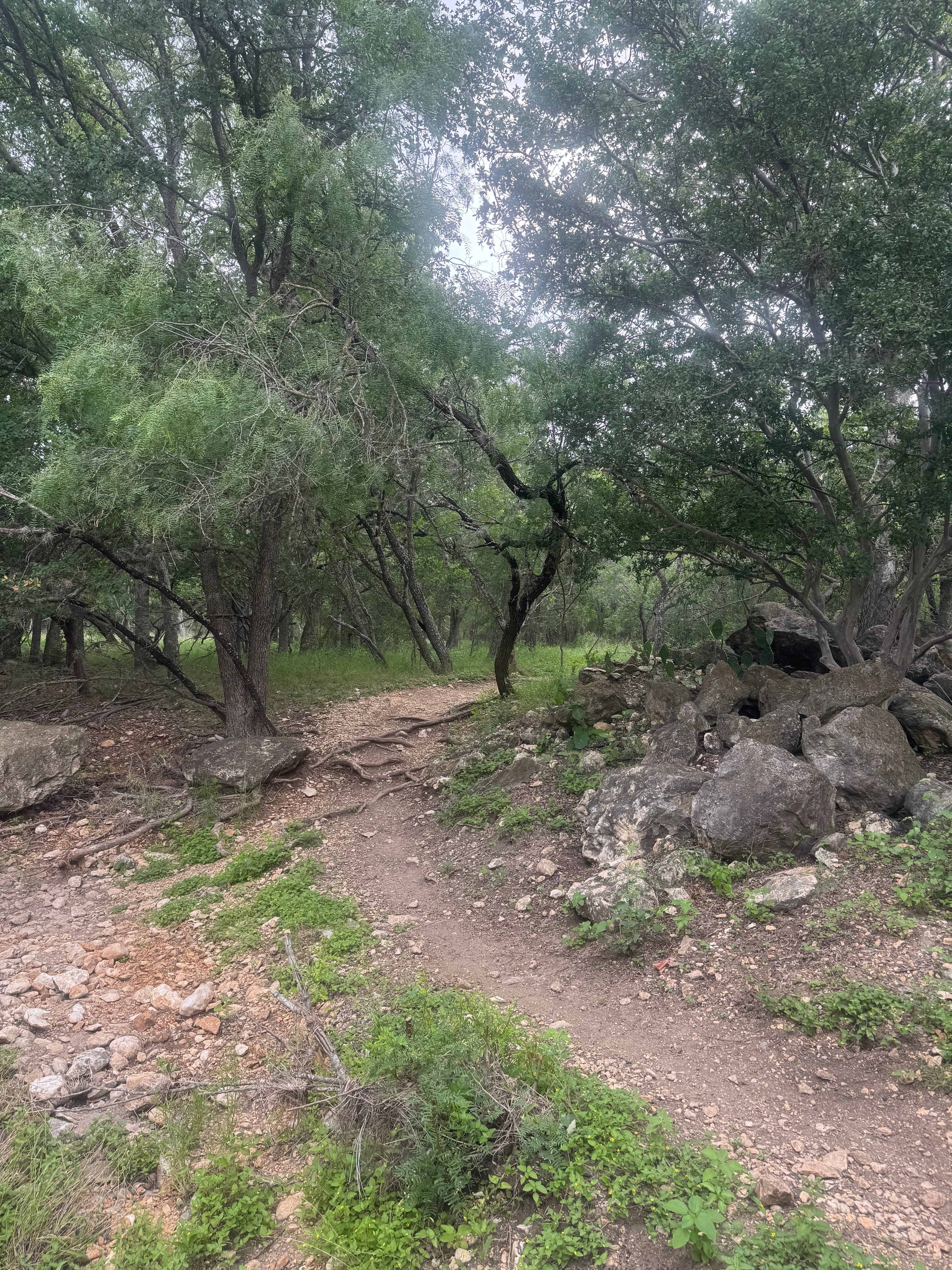 McAllister Park photo 7