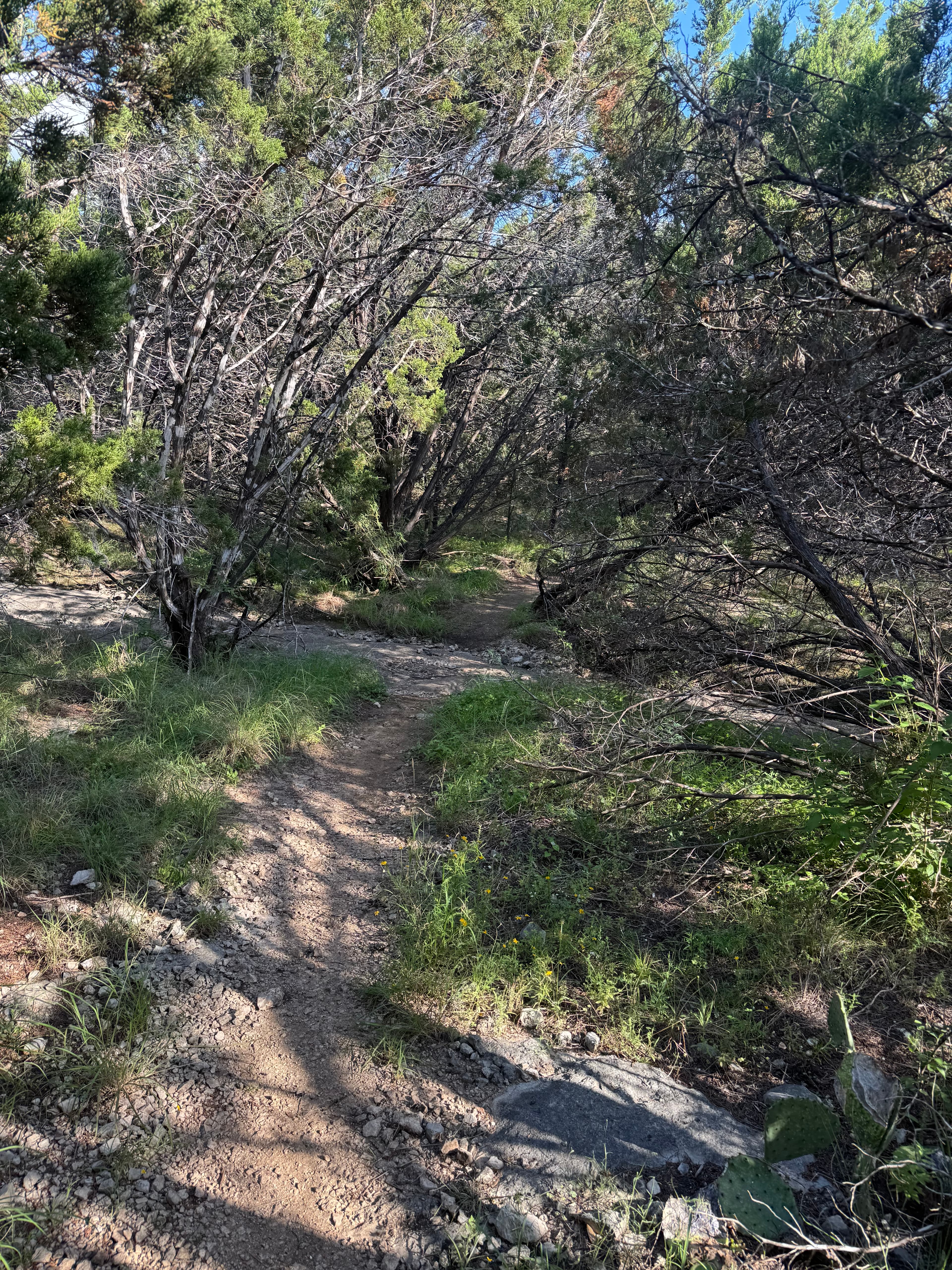 Creek Trail
