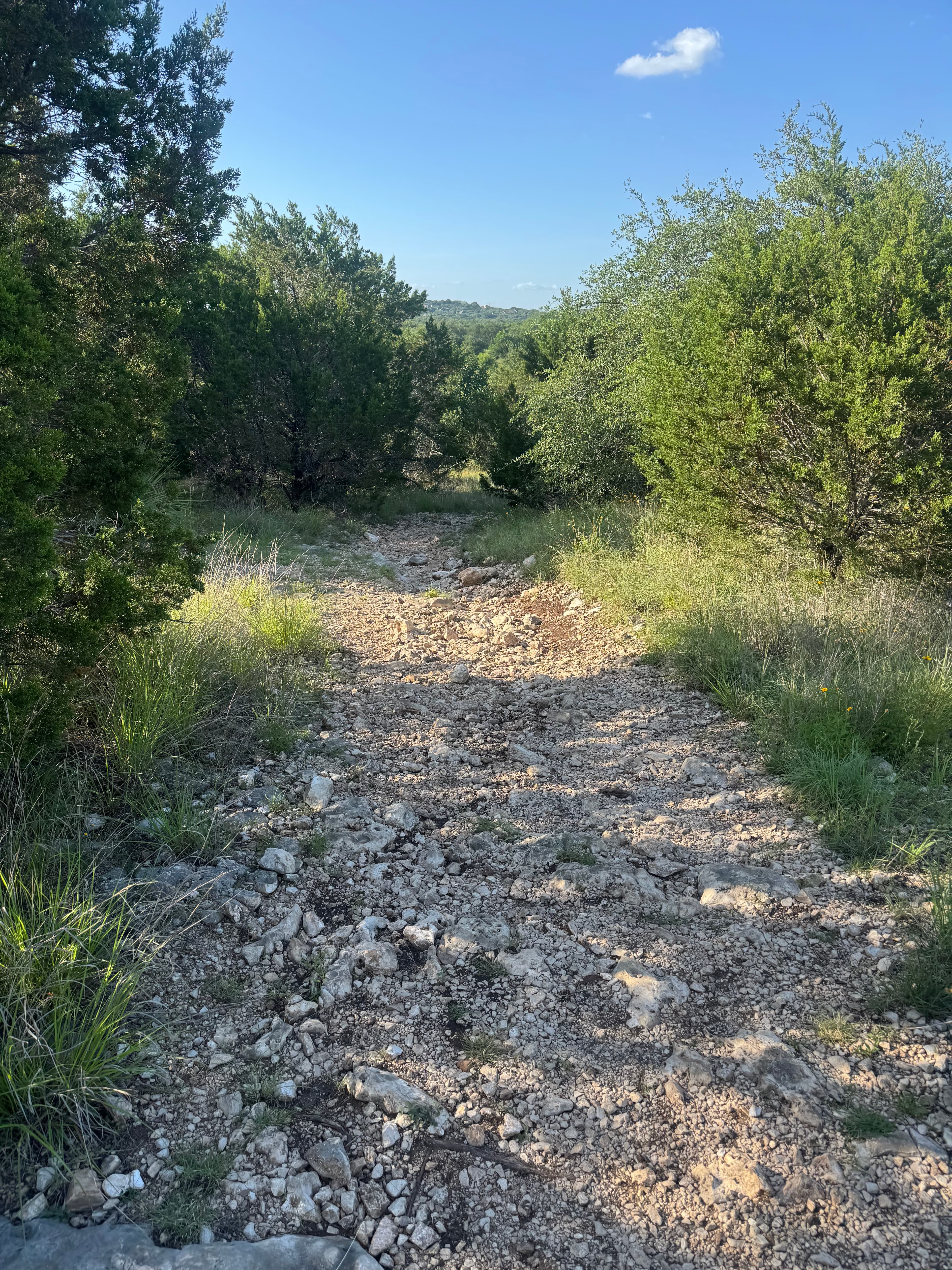 Panther Springs Park photo 4