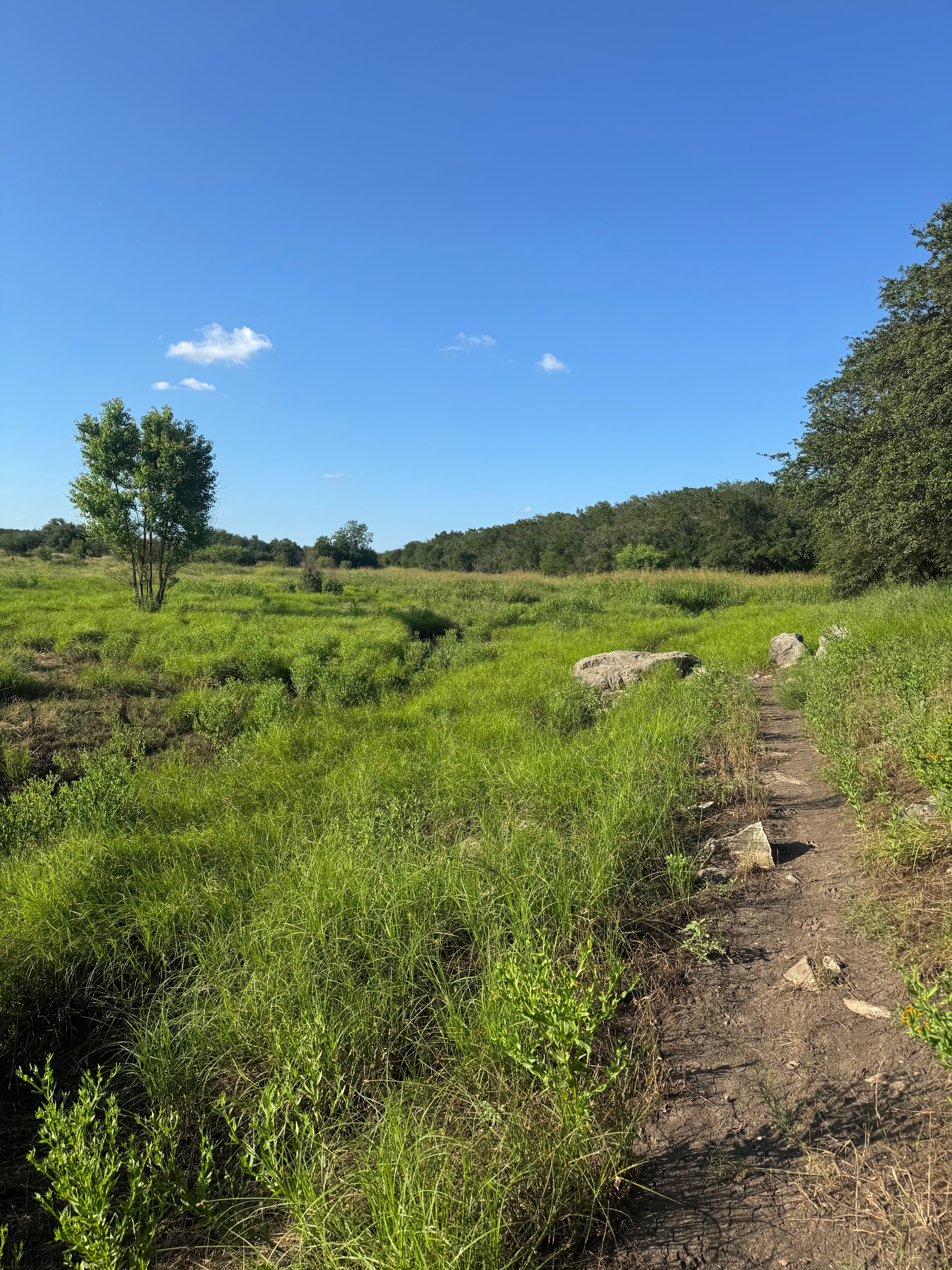 Open Meadow Trails