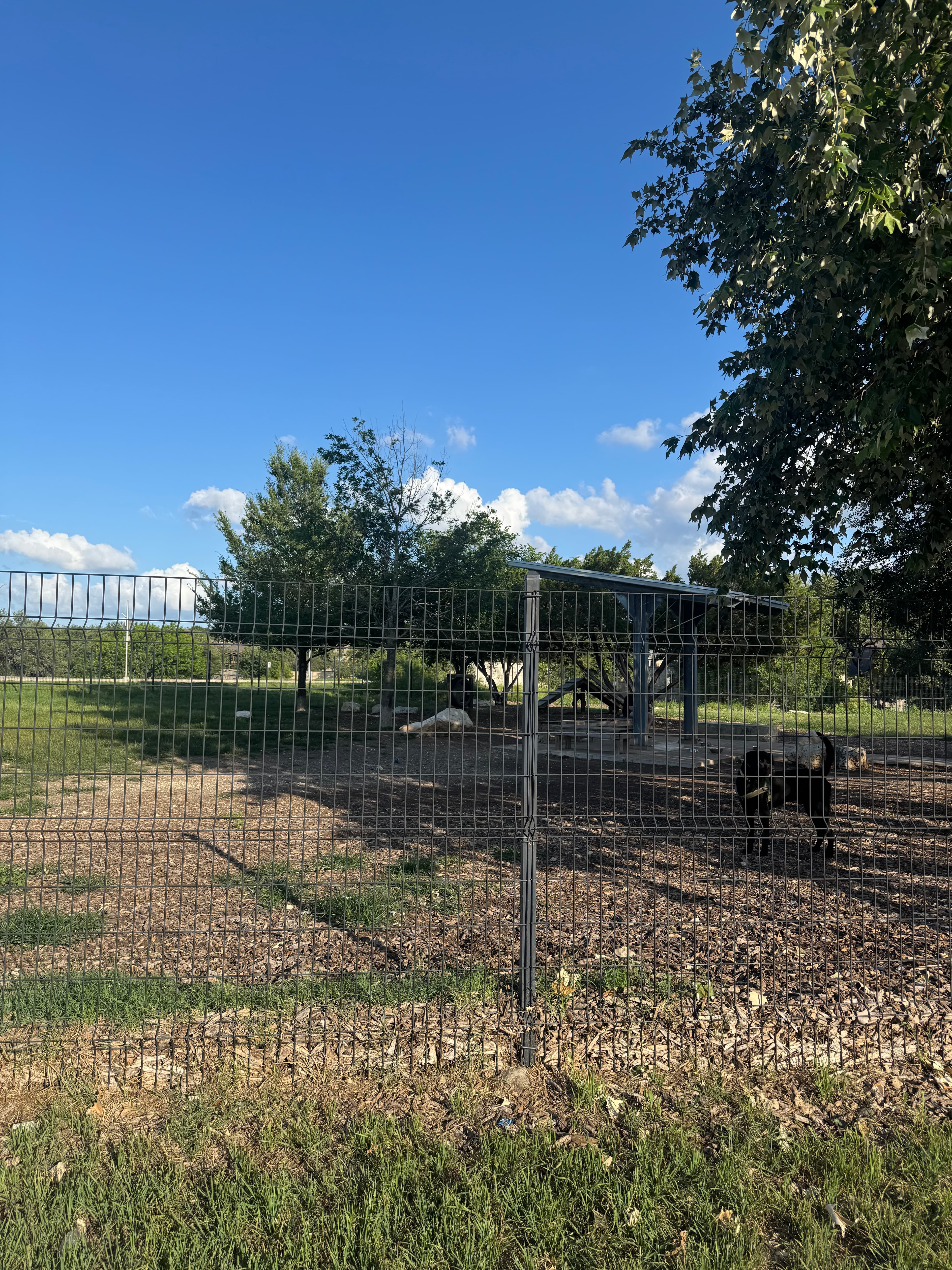 Dog Park